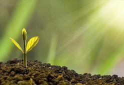 Google Doodle anlamı nedir? İklim değişikliği ilerleme durumu Doodle oldu! 2025 Dünya günü nedir, ne anlama geliyor ve ne zaman?