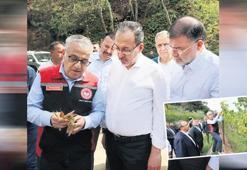 Kasapoğlu: Çiftçinin hasarını karşılayacağız