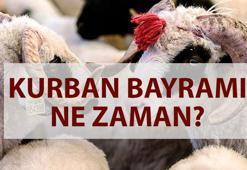 KURBAN BAYRAMI NE ZAMAN? 🐮 Kurban Bayramı tatili kaç gün? Kurban Bayramı tarihleri 2025
