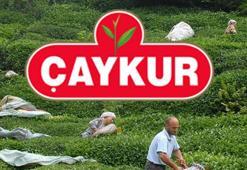 AÇIKLAMA BEKLENİYOR! ÇAYKUR 1500 İŞÇİ ALIMI BAŞVURU EKRANI açıldı mı, şartlar neler? Trabzon, Giresun, Artvin, Rize Çaykur 1500 işçi alımı hangi meslek gruplarından olacak?