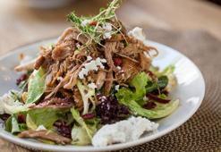 Bu tavuklu salatayı yemeyen kalmasın! 1 tabakla formu yakalayın, diyetlerin yıldızı