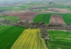 TOKİ 43 ilde 383 arsa satışı yapıyor! TOKİ açık artırma ile arsa satışı hangi illerde ve müzayede ne zaman?