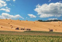 Şiddetli İstanbul depremi vatandaşı arayışa itti! Arsa ve arazilere yoğun talep