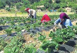 Gençler ve kadınlar doğduğu yerde doymalı