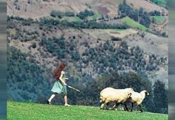 Kısaların en iyileri