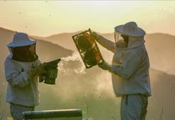 "Arıcılık rotaları" turizme katkı sağlayacak