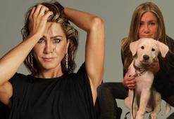Son dakika! Jennifer Aniston'ın evine giren kişi etkisiz hale getirildi