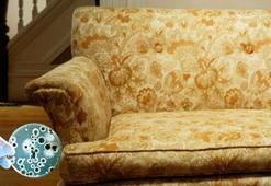 Klozetten 75 kat daha pis, salonda baş köşede duruyor! Karbonat tek çaresi