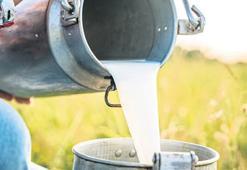 ‘Süt’te 56 teşebbüs için ‘rekabet’ soruşturması