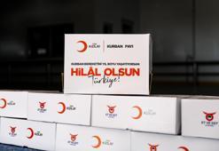 Kızılay 2025 vekalet kurbanlık fiyatlarını açıkladı