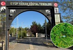 Parkta alkol alanların bıraktıkları şişedeki içkiyi su zannederek içen çocuk hastanelik oldu