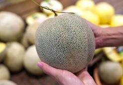 Bal gibi kavun kabuğundan belli olur! Sap kısmı yumuşaksa kaçırmayın