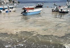 Kabus geri mi dönüyor? Marmara Denizi'nde korkutan görüntü