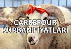 CARREFOUR KURBAN FİYATI 2025 🐮 Carrefoursa kurbanlık fiyatları ne kadar? Carrefour büyükbaş ve küçükbaş kurbanlık fiyatları listesi