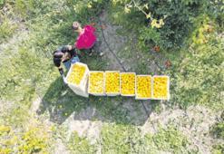 Sayım sonuçları 2026’da açıklanacak