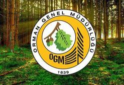 OGM'DEN YENİ ALIM 📢 OGM 63 geçici işçi personel alımı ne zaman? OGM personel alımı başvuruları başladı mı, şartlar neler?