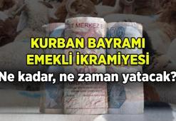 Kurban Bayramı Emekli İkramiyesi ne kadar, ne zaman ödenecek? Bu ayın maaşlarına emekli bayram ikramiyesi eklenir mi?