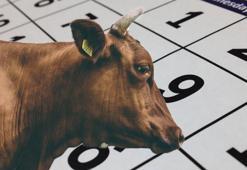 KURBAN BAYRAMINA KAÇ GÜN KALDI? Bayram tatili ne zaman, kaç gün olacak? İşte 2025 Kurban Bayramı tarihi