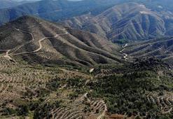 Kütahya'da ormanlara giriş yasağı