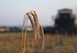 Çiftçilere 5,1 milyar lira destek ödemesi bugün yapılacak