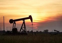 Petrol kaç dolardan işlem görüyor?