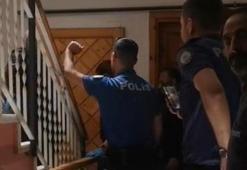 Evinde 12 sokak köpeğiyle kadın gözaltına alındı
