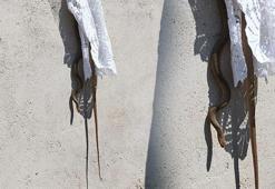 Kentte büyük panik! Metrelerce uzunlukta yılan pencereden eve girdi