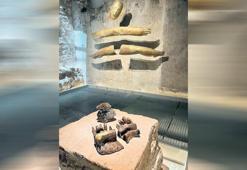 Kadim fısıltıların izinde