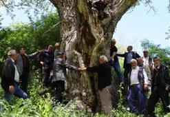 50 teneke hasat yapıldı, 7 kişi el ele tutuşup sarıldı: Hiç kurumaya niyeti yok