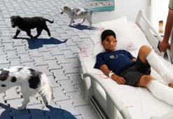 11 yaşındaki çocuğa köpekler saldırdı! 'Ben yetişene kadar ayaklarının ikisini de parçaladılar'