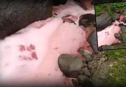 Dere yatağındaki suyun rengi sosyal medyada gündem olmuştu! Rize Valiliği'nden açıklama