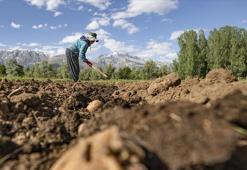 Çiftçilere 3,3 milyar lira destek ödemesi bugün yapılacak