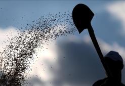 Tohum sektöründe AR-GE faaliyetlerine desteklerin yerliliği artırması bekleniyor