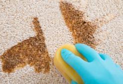 Halıya kazınan yağ lekesini zarar vermeden söküyor! 5 dakikada iş bitiren pudra