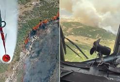 İzmir Foça'da makilik alanda yangını