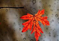 İSTANBUL HAVA DURUMU SON DAKİKA: Bugün hava nasıl, sıcaklık düştü mü? Yağışlar devam edecek mi? Meteoroloji hava durumu tahminleri