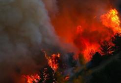 Ankara Valiliği orman yangınlarının önlenmesine dair alınan tedbirleri açıkladı