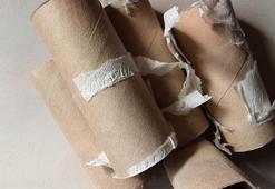 Tuvalet kağıdı rulosu bakın ne işe yarıyor... Kullanım alanını duyunca artık çöpe atmayacaksınız