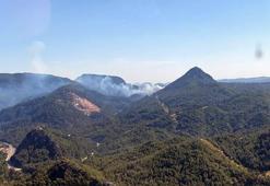 Muğla’nın Marmaris ilçesinde orman yangını
