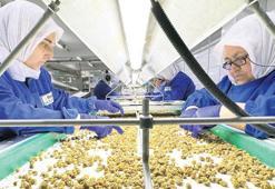 500 büyük şirketin 111’i gıda işliyor