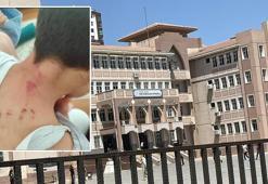 Şanlıurfa’da okulda şiddet: Öğrencisini tekme tokat döven öğretmen tutuklandı