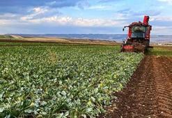 Bakanlık duyurdu: Çiftçilere destek ödemesi yatırılacak