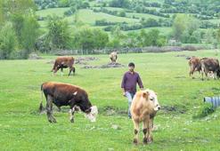 Destek paketiyle ‘bereket’ yağacak