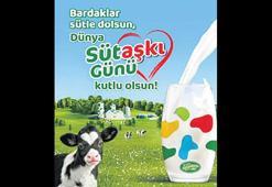 Sürdürülebilir model oluşturdu