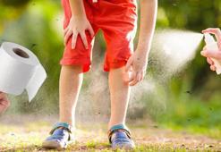 Ne sprey ne cihaz ne losyon! Sivrisinekler tuvalet kağıdıyla kaçacak, ıslatmak yeter