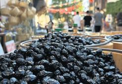 Tirilye’de Zeytin Çiçeği Festivali