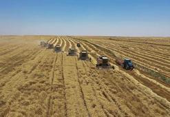 Hububat alım fiyatları belli oldu