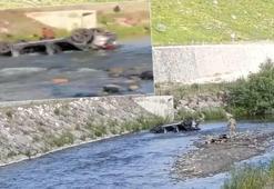 Bayram tatili için yola çıkmışlardı! Dereye uçan araçtaki anne baba ve çocukları öldü