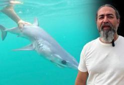 Akdeniz kıyılarında görülen köpek balıklarının sırrı! Açıklama geldi