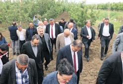 Zirai donun etkisi 2–3 yıl sürebilir